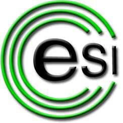 ESI Electronic Services