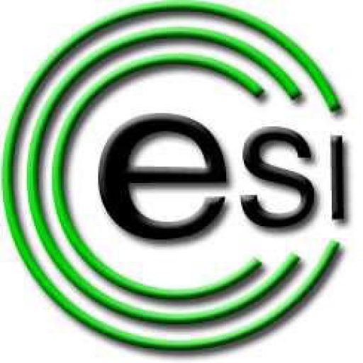 ESI Electronic Services